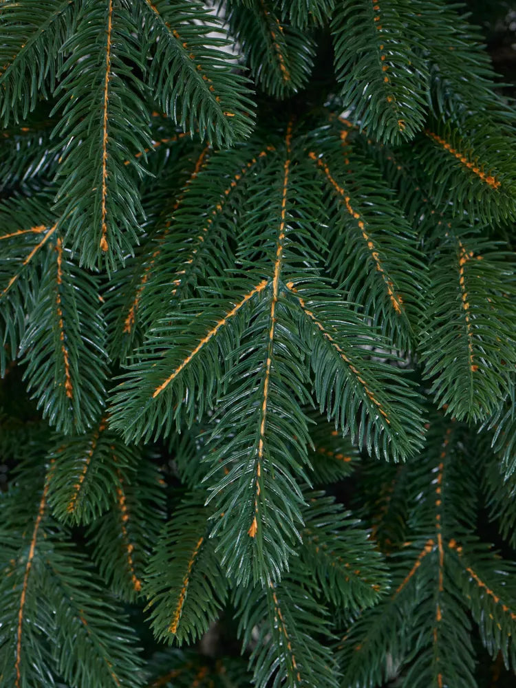 Alpine Christmas Tree