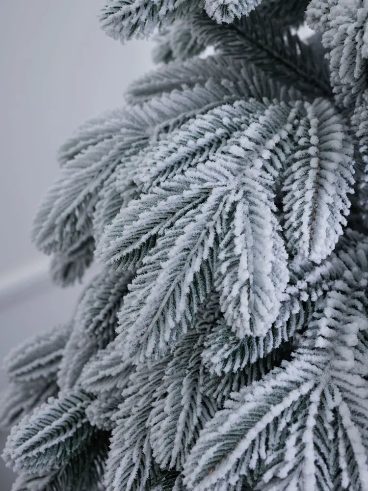 Alaska Christmas Tree