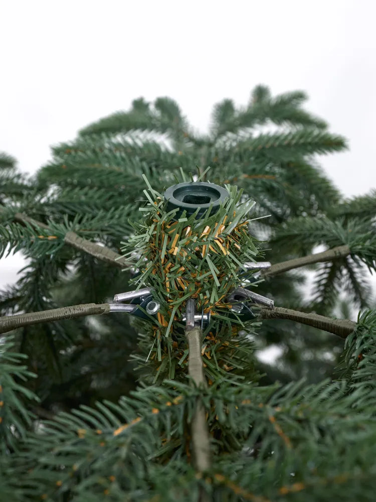 Cedar Christmas Tree