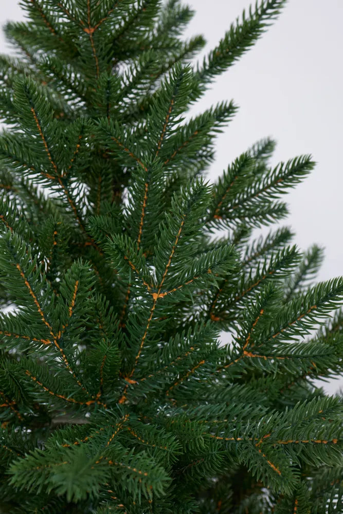 Nordmann Pre-Lit Christmas Tree