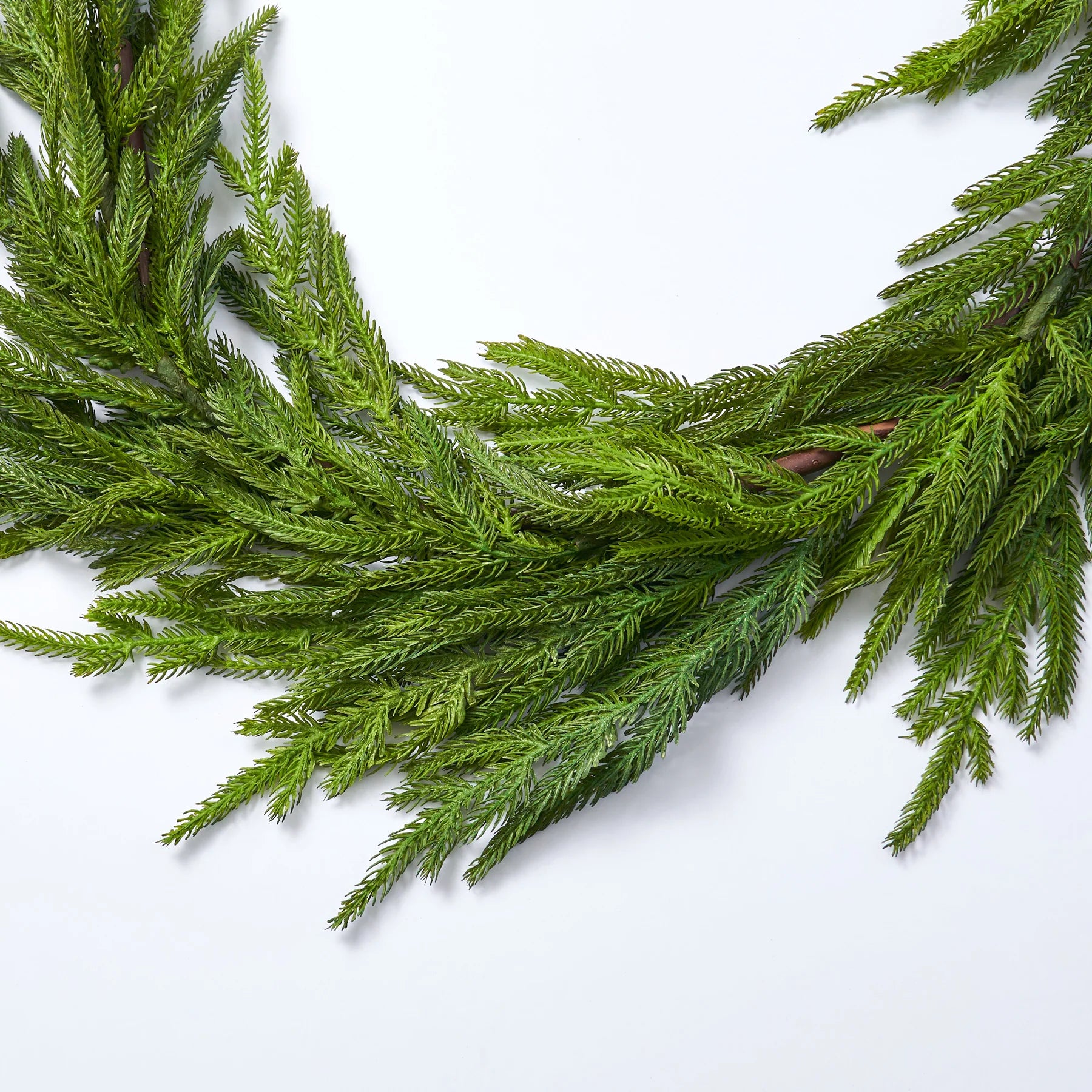 Norfolk Pine Christmas Garland